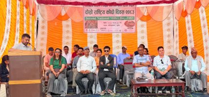दोस्रो राष्ट्रिय कोदो दिवस : कोदोप्रति दृष्टिकोण बदल्न जरुरी छ
