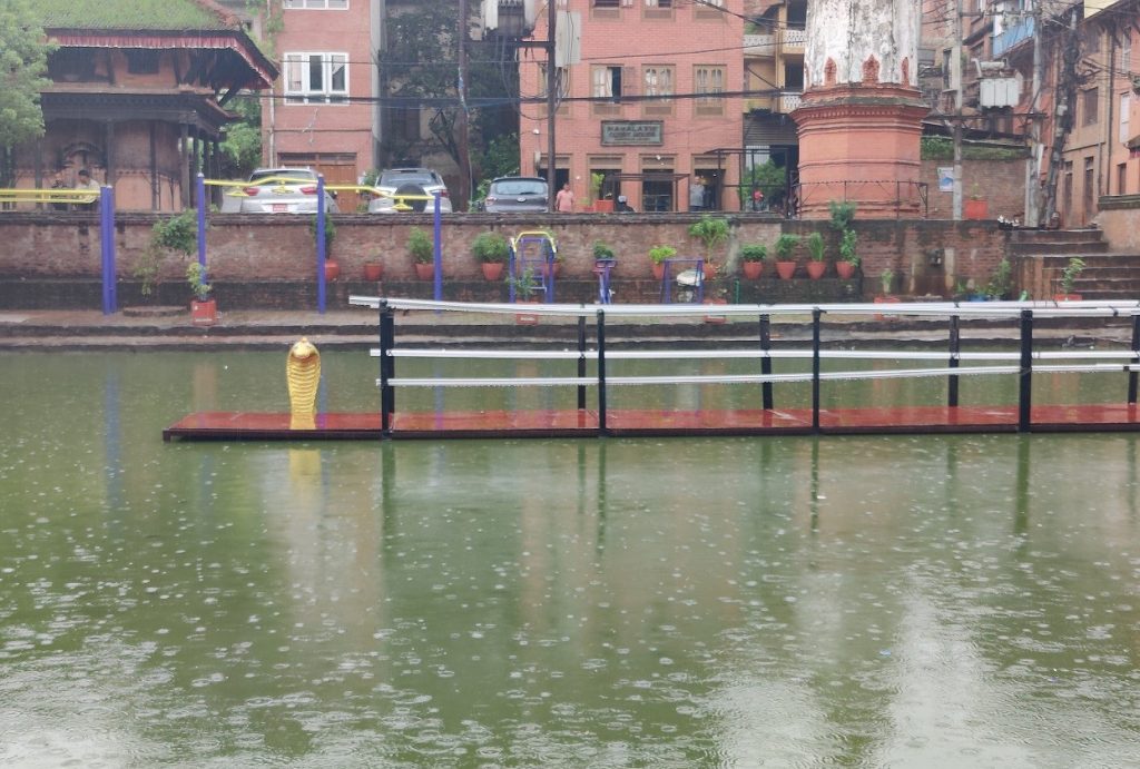 नागपञ्चमीमा ८३ वर्षीया देवकुमारीको नाग दर्शनको धोको पूरा हुँदै