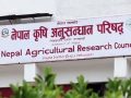कृषि उत्पादन वृद्धि गर्न विभिन्न बालीका उन्नत जात विकास