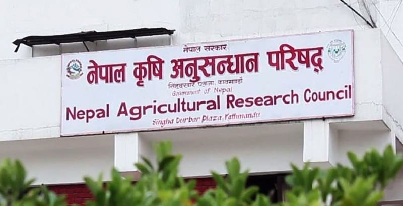 कृषि उत्पादन वृद्धि गर्न विभिन्न बालीका उन्नत जात विकास