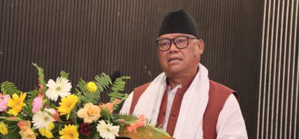 पत्रकारितामाथिको आक्रमण लोकतन्त्रका लागि गम्भीर खतरा : आङ्देम्बे