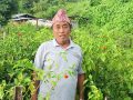 अकबरे खुर्सानी खेतीबाट लाखौँ कमाउँदै मोतीबहादुर सारू मगर 