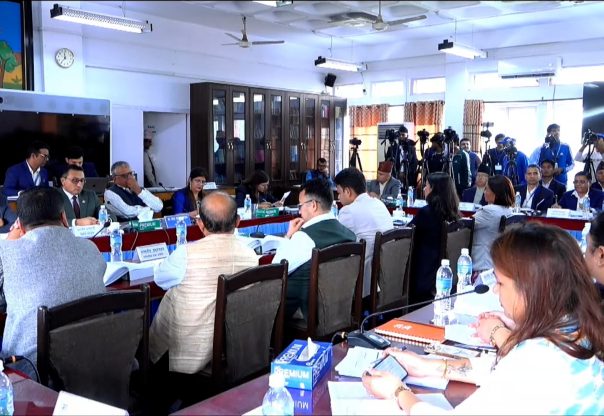 वैदेशिक सहायता राष्ट्रिय बजेट प्रणालीमार्फत परिचालन गर्न सार्वजनिक लेखा समितिको निर्देशन वैदेशिक सहायता राष्ट्रिय बजेट प्रणालीमार्फत परिचालन गर्न सार्वजनिक लेखा समितिको निर्देशन