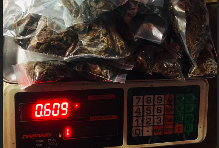 झापाको बिर्तामोडमा ५२८ ग्राम गाँजासहित महिला पक्राउ