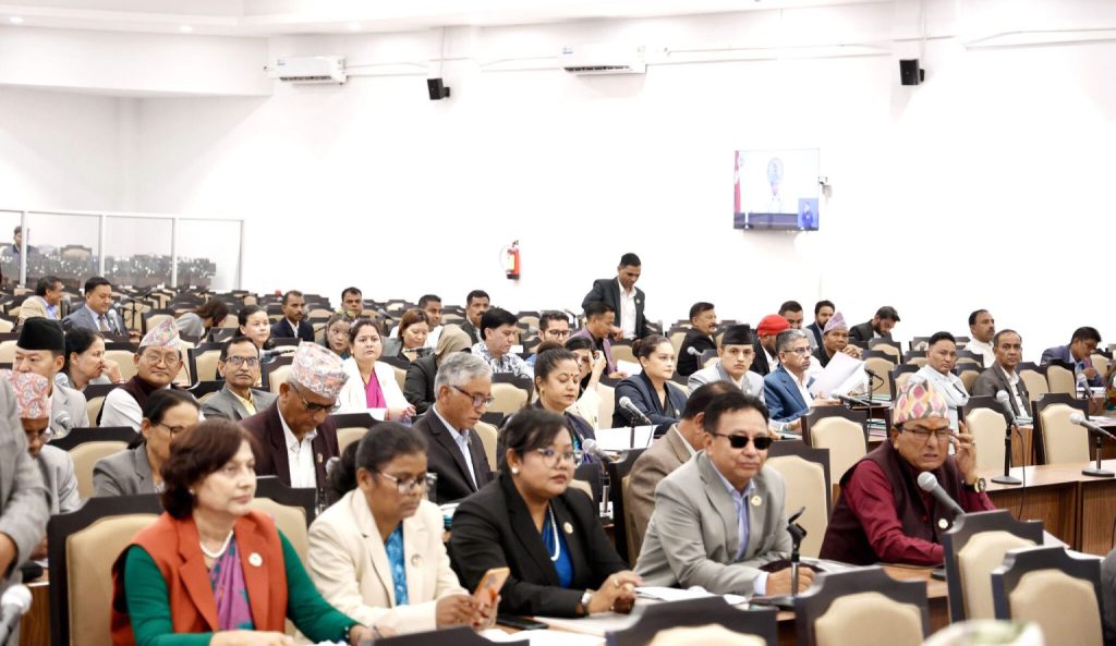 प्रतिनिधिसभाः मौलिक हक कार्यान्वयन र औद्योगिक वातावरण निर्माणमा सरकारको ध्यानाकर्षण