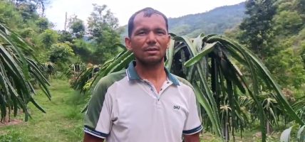 शिक्षक दिलबहादुरको कृषिकर्म : खोरियामा फुल्यो ‘ड्रागन’को सपना