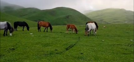 बडीमालिका : जहाँ सौन्दर्यताले मन छुन्छ, धार्मिक आस्थाले आत्मा