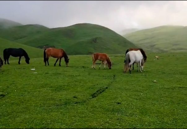 बडीमालिका : जहाँ सौन्दर्यताले मन छुन्छ, धार्मिक आस्थाले आत्मा