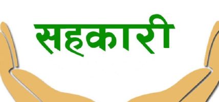सहकारी ठगीका मुद्धा हेर्ने समर्पित इजलास गठनको माग गर्दै प्रधानन्यायाधीशलाई प्रतिवेदन
