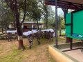 रसुवा बाढी : ५ हेलिकप्टरसहित २ हजारभन्दा बढी सैनिक परिचालन, १७७ जनाको सकुशल उद्धार रसुवा बाढी : ५ हेलिकप्टरसहित २ हजारभन्दा बढी सैनिक परिचालन, १७७ जनाको सकुशल उद्धार