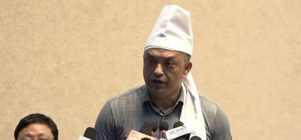 सरकारको शासकीय अराजकता बढ्दै गएको छ : सभापति थापा