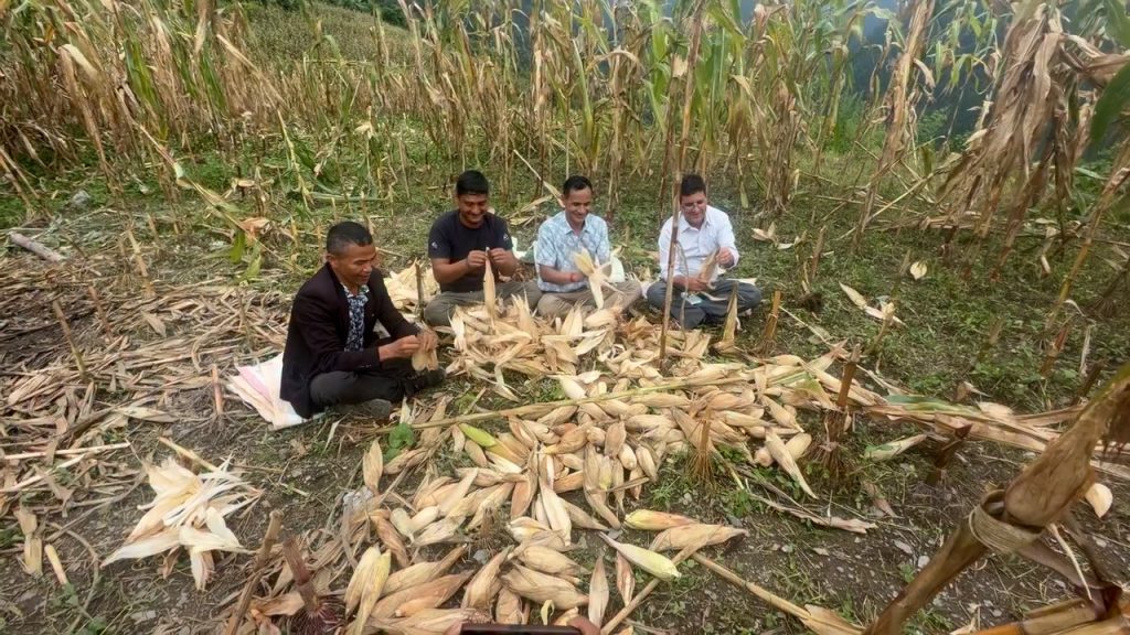 बाढीपहिरो पीडित रिसाङमा मकैबारी फाँडेर अस्थायी सेल्टर निर्माण सुरु