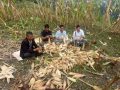 बाढीपहिरो पीडित रिसाङमा मकैबारी फाँडेर अस्थायी सेल्टर निर्माण सुरु बाढीपहिरो पीडित रिसाङमा मकैबारी फाँडेर अस्थायी सेल्टर निर्माण सुरु