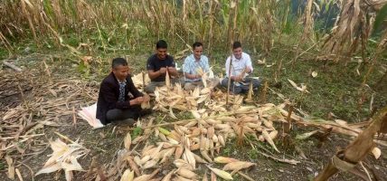 बाढीपहिरो पीडित रिसाङमा मकैबारी फाँडेर अस्थायी सेल्टर निर्माण सुरु