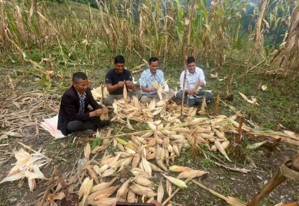 बाढीपहिरो पीडित रिसाङमा मकैबारी फाँडेर अस्थायी सेल्टर निर्माण सुरु