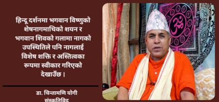 नाग पूजालाई मानव र प्रकृतिबीचको सहअस्तित्वको प्रतीकका रुपमा हेरिन्छ : डा. चिन्तामणि योगी