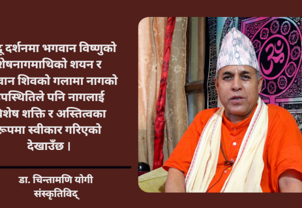 नाग पूजालाई मानव र प्रकृतिबीचको सहअस्तित्वको प्रतीकका रुपमा हेरिन्छ : डा. चिन्तामणि योगी