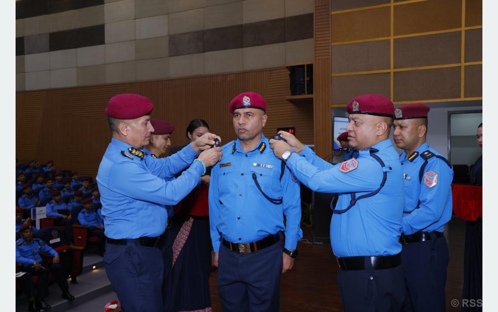 दर्ज्यानी चिन्ह प्रदान