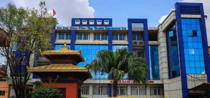अवस्था असहजः खाना पकाउने ग्यास वितरणलाई सहज बनाउँदै साल्ट ट्रेडिङ