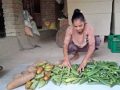 हराउँदै गाउँघरको रैथाने तरकारी हराउँदै गाउँघरको रैथाने तरकारी