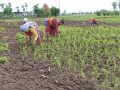 खगेरी खोलाको अस्तित्व नै सङ्कटमा खगेरी खोलाको अस्तित्व नै सङ्कटमा