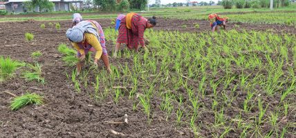 खगेरी खोलाको अस्तित्व नै सङ्कटमा