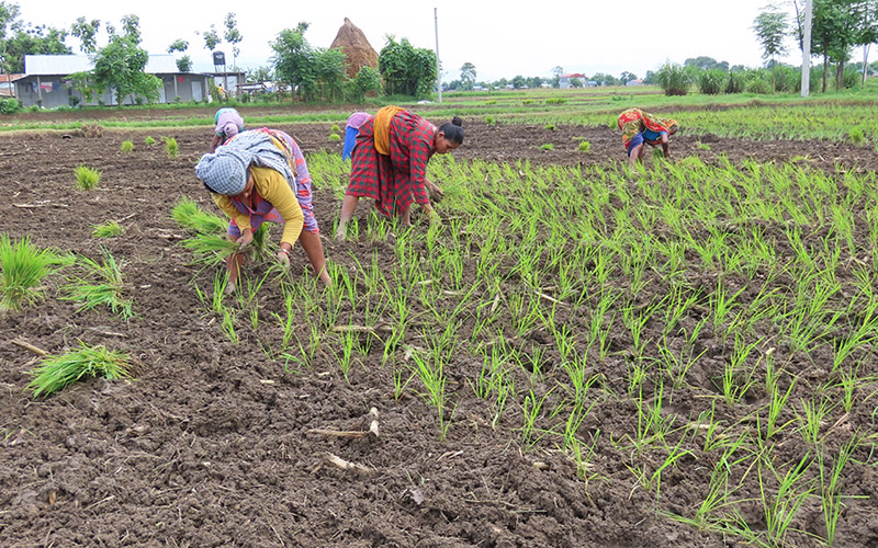 खगेरी खोलाको अस्तित्व नै सङ्कटमा