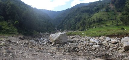 पानी परेपछि जागै हुन्छ चाम्लिङडाँडा, कोप्चे, बिरुवा र सिस्ने