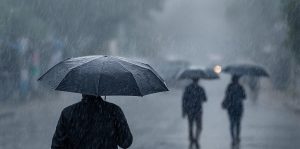 यस्तो छ, आजको तरकारी तथा फलफूलको मूल्य