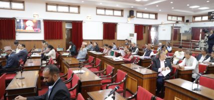राष्ट्रियसभाः मूल्यवृद्धि नियन्त्रण गर्न माग