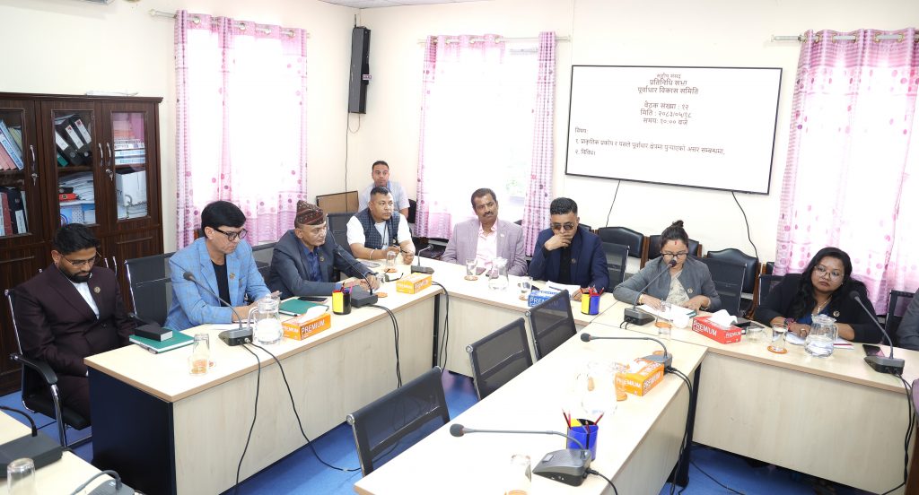 संसदीय समितिद्वारा सुरुङमा फसेकाको उद्धारमा प्राथमिकता दिन निर्देशन