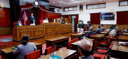 विशेष संसदीय समितिमा राष्ट्रियसभाको प्रतिनिधित्व हुनुपर्ने माग