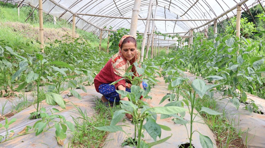 स्वदेशमै स्रोत र सीपलाई सदुपयोग गर्न सके यही काम गर्न र कमाउन सकिन्छ’