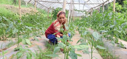 स्वदेशमै स्रोत र सीपलाई सदुपयोग गर्न सके यही काम गर्न र कमाउन सकिन्छ’