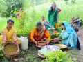 बिरुडा धोएर न्यालाको गौरापर्व मनाइँदै बिरुडा धोएर न्यालाको गौरापर्व मनाइँदै