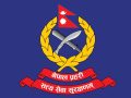 प्रहरीले बरामद गरेको एक हजार ३१५ किलोग्राम गाँजा नष्ट