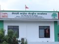 कांग्रेस केन्द्रीय कार्यसम्पादन समितिको बैठक जारी, थपिँदै केन्द्रीय सदस्य
