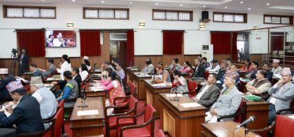 राष्ट्रियसभाः विपद्मा मानवीय कार्यमा जुट्न आग्रह