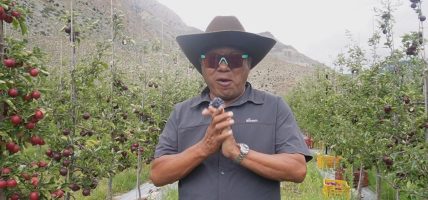 स्याउखेतीमा कर्म गुरुङको छलाङ