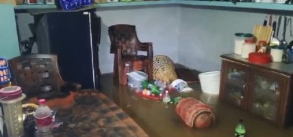 एक्लेखेतमा बाढी पस्दा १३ घर प्रभावित