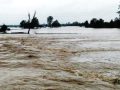 भोटेकोशी र त्रिशूली नदीको बहाव सर्तकता तहभन्दा तल : बाढी पूर्वानुमान महाशाखा भोटेकोशी र त्रिशूली नदीको बहाव सर्तकता तहभन्दा तल : बाढी पूर्वानुमान महाशाखा