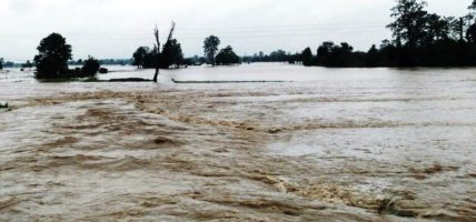 भोटेकोशी र त्रिशूली नदीको बहाव सर्तकता तहभन्दा तल : बाढी पूर्वानुमान महाशाखा