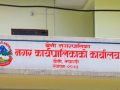 पाखोलाई भकिम्लीका रुचाल दम्पतीले हराभरा बनाए