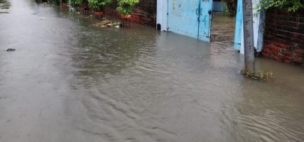 पूर्वसूचनाले घटायोः बर्दियामा विपद्को क्षति