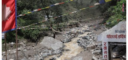 वीरेखोला बाढीः २३ परिवार विस्थापित, धानखेत बगरमा परिणत