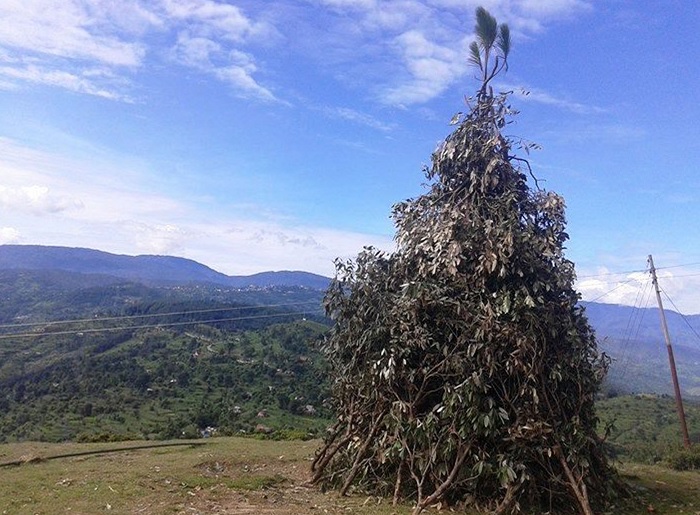 आज ‘बुढी पोल्ने’ पर्व मनाइँदै