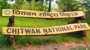 चितवन राष्ट्रिय निकुञ्जमा इ-टिकटिङ सुरु चितवन राष्ट्रिय निकुञ्जमा इ-टिकटिङ सुरु