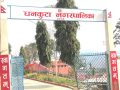 सडक किनारमा नगरपालिकाको बेसार खेती सडक किनारमा नगरपालिकाको बेसार खेती