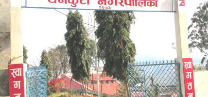 सडक किनारमा नगरपालिकाको बेसार खेती