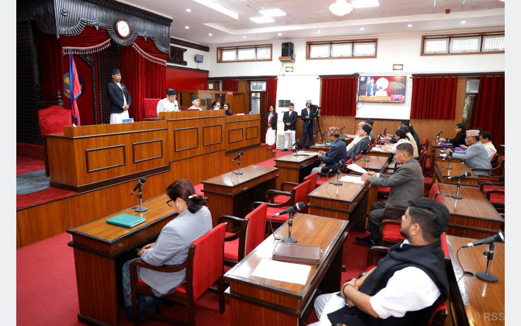 सदनमा बाढी पहिरोदेखि खाना पकाउने ग्याससम्म विषय